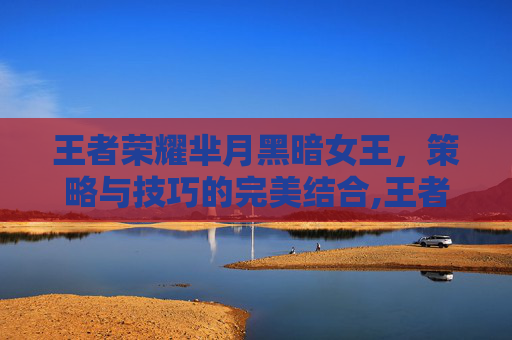 王者荣耀芈月黑暗女王，策略与技巧的完美结合,王者荣耀芈月黑暗女王是谁