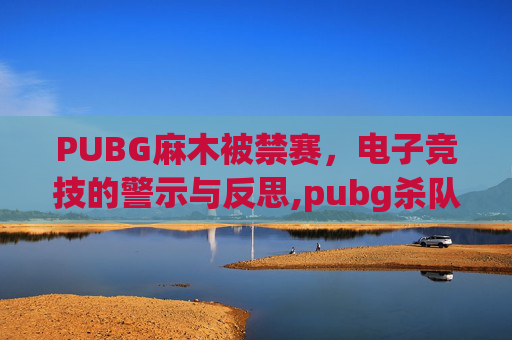 PUBG麻木被禁赛，电子竞技的警示与反思,pubg杀队友禁赛多久