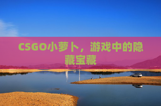 CSGO小萝卜，游戏中的隐藏宝藏