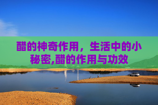 醋的神奇作用，生活中的小秘密,醋的作用与功效