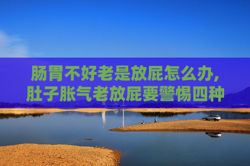 肠胃不好老是放屁怎么办,肚子胀气老放屁要警惕四种病
