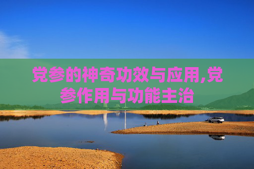 党参的神奇功效与应用,党参作用与功能主治