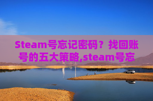 Steam号忘记密码？找回账号的五大策略,steam号忘记密码