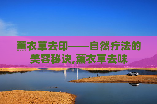 薰衣草去印——自然疗法的美容秘诀,薰衣草去味