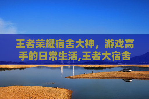王者荣耀宿舍大神，游戏高手的日常生活,王者大宿舍百科