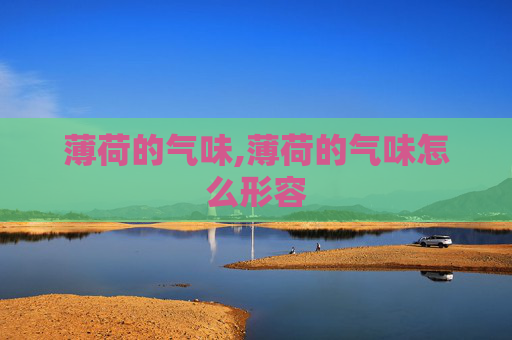 薄荷的气味,薄荷的气味怎么形容