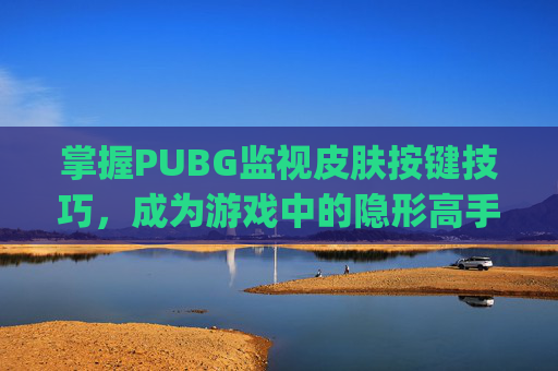 掌握PUBG监视皮肤按键技巧，成为游戏中的隐形高手,pubg怎么监视皮肤