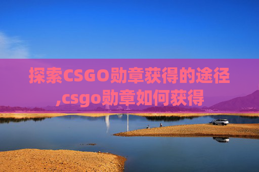 探索CSGO勋章获得的途径,csgo勋章如何获得