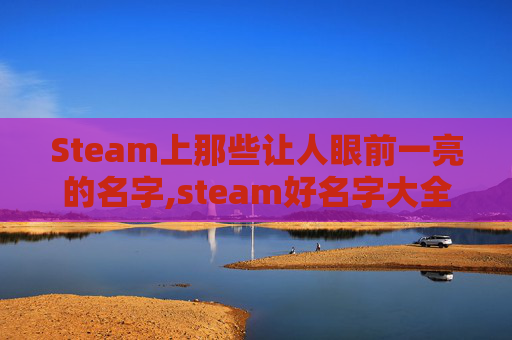 Steam上那些让人眼前一亮的名字,steam好名字大全