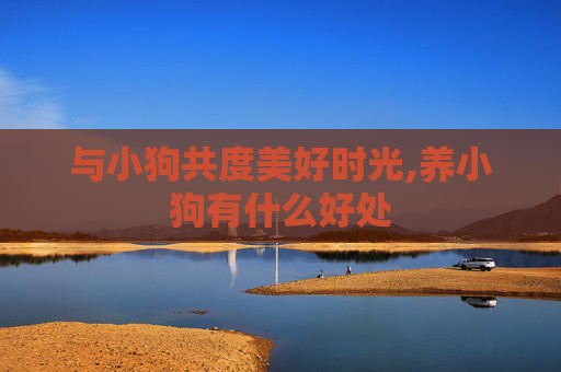 与小狗共度美好时光,养小狗有什么好处