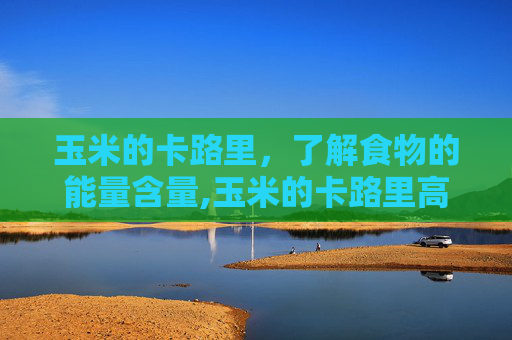 玉米的卡路里，了解食物的能量含量,玉米的卡路里高吗