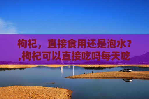 枸杞，直接食用还是泡水？,枸杞可以直接吃吗每天吃
