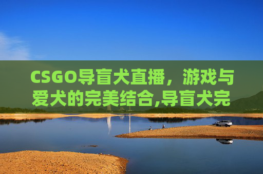 CSGO导盲犬直播，游戏与爱犬的完美结合,导盲犬完整版