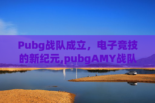 Pubg战队成立，电子竞技的新纪元,pubgAMY战队
