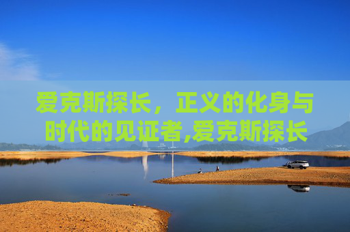 爱克斯探长，正义的化身与时代的见证者,爱克斯探长内容简介