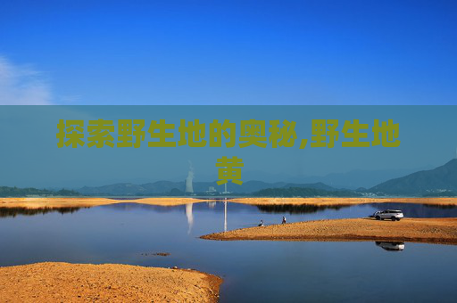 探索野生地的奥秘,野生地黄