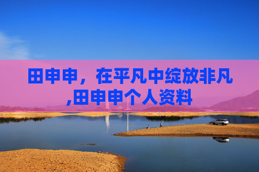 田申申，在平凡中绽放非凡,田申申个人资料