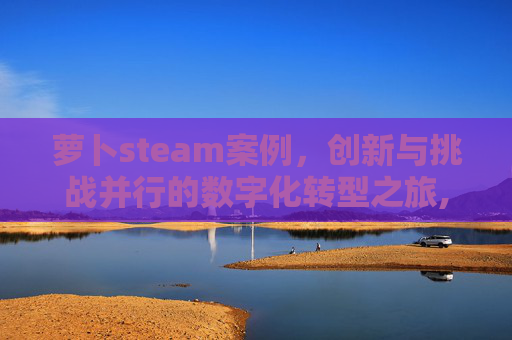 萝卜steam案例，创新与挑战并行的数字化转型之旅,萝卜墎游戏