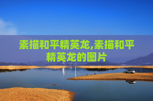 素描和平精英龙,素描和平精英龙的图片
