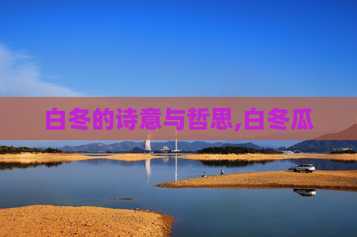白冬的诗意与哲思,白冬瓜 白冬的诗意与哲思,白冬瓜