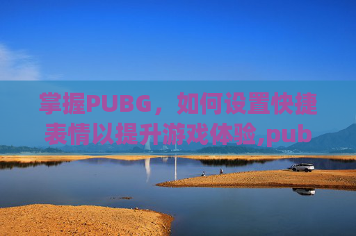 掌握PUBG,如何设置快捷表情以提升游戏体验,pubg怎么弄表情 掌握PUBG,如何设置快捷表情以提升游戏体验,pubg怎么弄表情