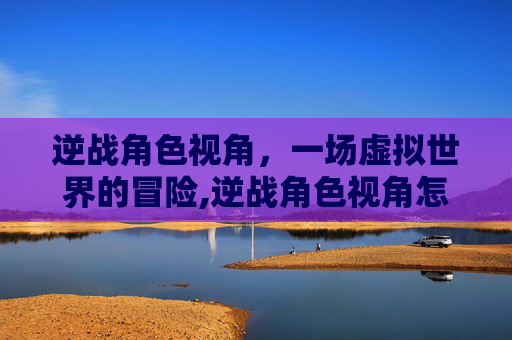 逆战角色视角，一场虚拟世界的冒险,逆战角色视角怎么设置