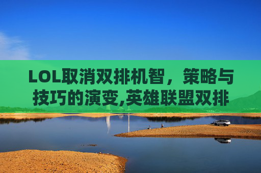 LOL取消双排机智，策略与技巧的演变,英雄联盟双排机制