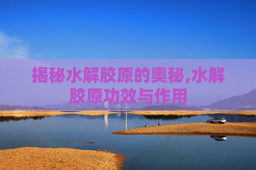 揭秘水解胶原的奥秘,水解胶原功效与作用