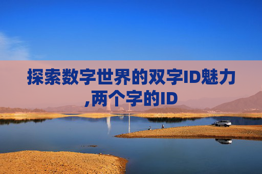 探索数字世界的双字ID魅力,两个字的ID