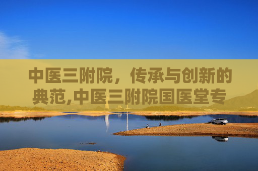 中医三附院，传承与创新的典范,中医三附院国医堂专家
