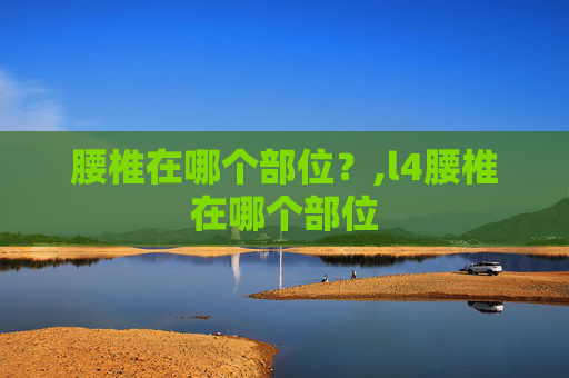 腰椎在哪个部位？,l4腰椎在哪个部位