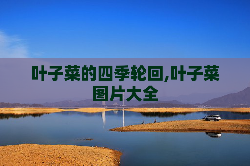 叶子菜的四季轮回,叶子菜图片大全
