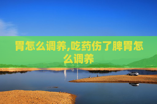 胃怎么调养,吃药伤了脾胃怎么调养
