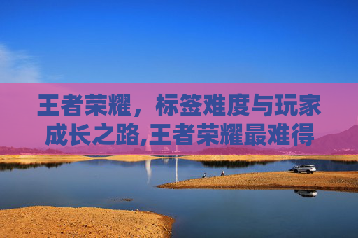 王者荣耀，标签难度与玩家成长之路,王者荣耀最难得标签