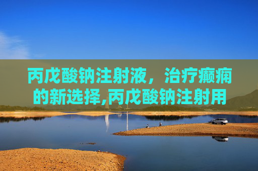 丙戊酸钠注射液，治疗癫痫的新选择,丙戊酸钠注射用浓溶液说明书