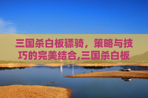 三国杀白板骠骑，策略与技巧的完美结合,三国杀白板骠骑是什么意思