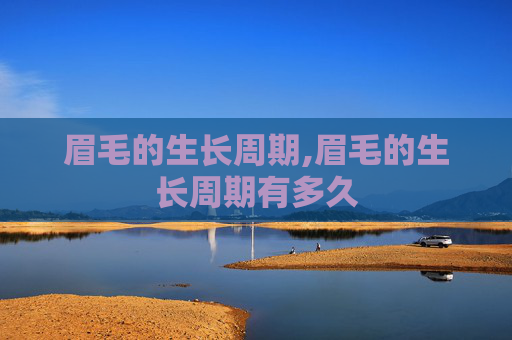 眉毛的生长周期,眉毛的生长周期有多久