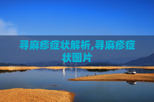 寻麻疹症状解析,寻麻疹症状图片
