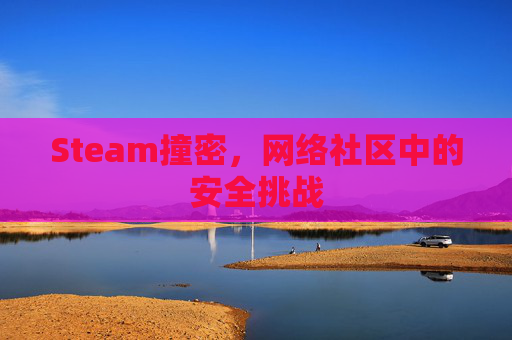 Steam撞密，网络社区中的安全挑战