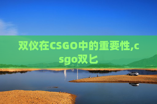 双仪在CSGO中的重要性,csgo双匕