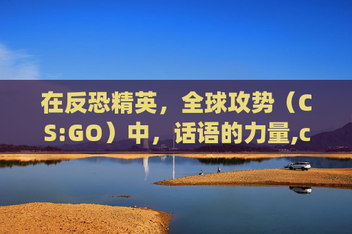 在反恐精英，全球攻势（CS:GO）中，话语的力量,csgo语录