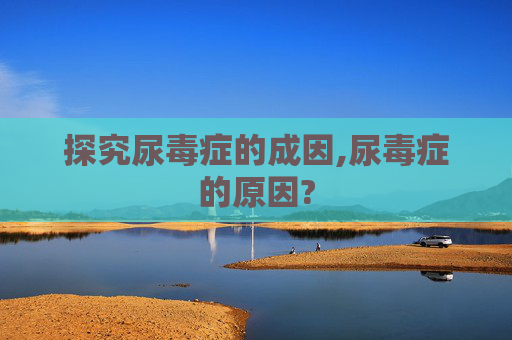 探究尿毒症的成因,尿毒症的原因?