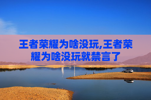 王者荣耀为啥没玩,王者荣耀为啥没玩就禁言了