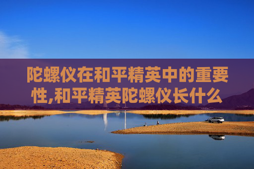 陀螺仪在和平精英中的重要性,和平精英陀螺仪长什么样子