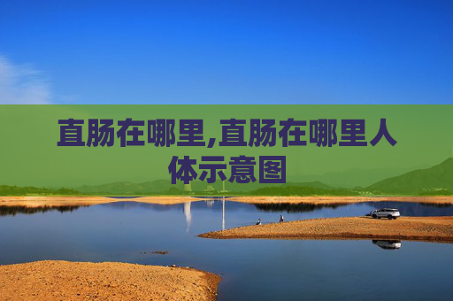 直肠在哪里,直肠在哪里人体示意图