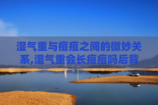湿气重与痘痘之间的微妙关系,湿气重会长痘痘吗后背