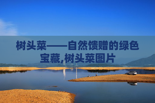 树头菜——自然馈赠的绿色宝藏,树头菜图片