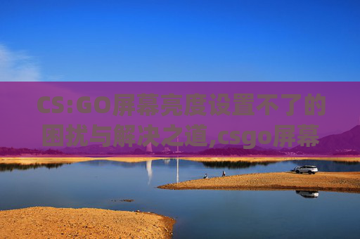 CS:GO屏幕亮度设置不了的困扰与解决之道,csgo屏幕亮度设置不了什么原因