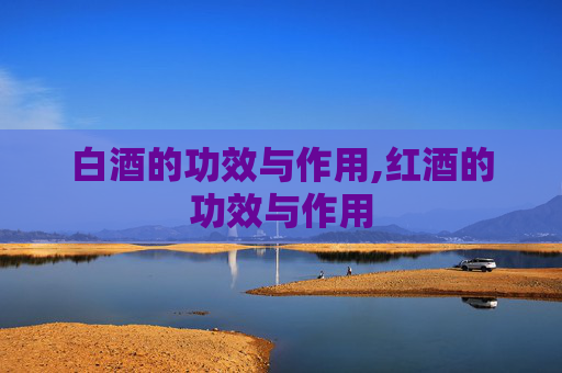 白酒的功效与作用,红酒的功效与作用