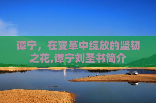 谭宁，在变革中绽放的坚韧之花,谭宁刘圣书简介